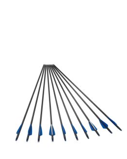 Set X 10 Flechas De Fibra De Vidrio 80 Cm Con Punta Con Rosca