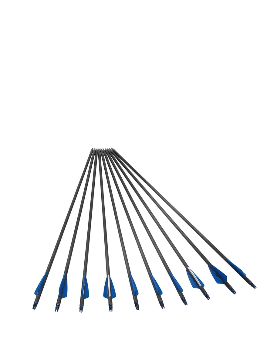 Set X 10 Flechas De Fibra De Vidrio 80 Cm Con Punta Con Rosca